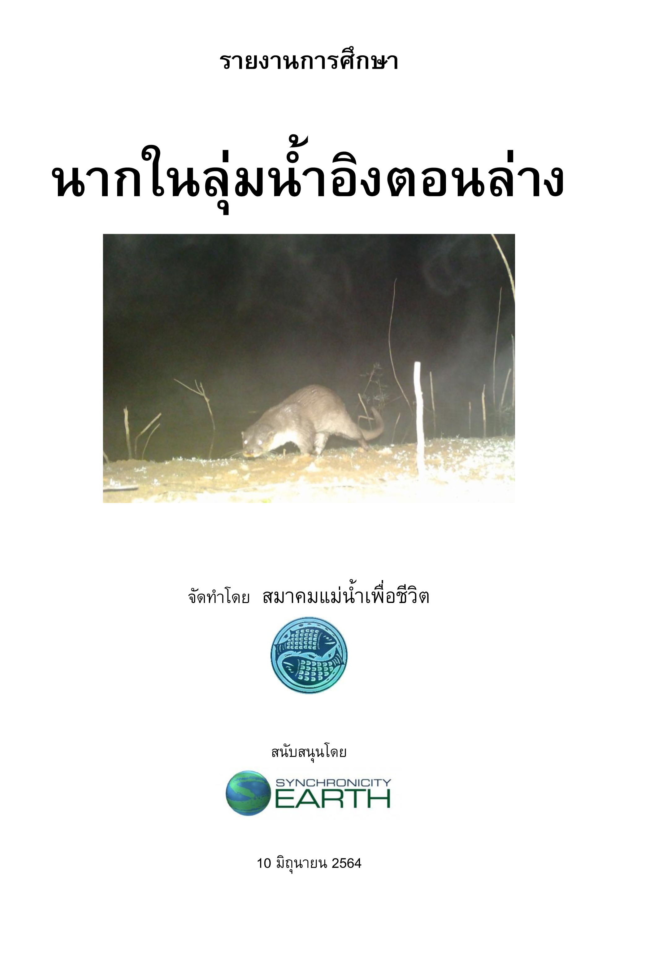 2564 06 10 Research report on otters in the lower Ing River